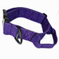 Collar Tactical Lite